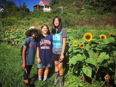 Women in the Garden Image